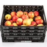 Apfelkiste mit Schalenfehler Sorte: Gerlinde