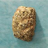 Kürbiskernsemmel Weizen