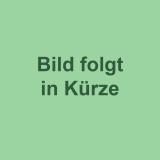 Algen-Salat mit Sesam & Ingwer vegan