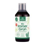 Kleepura Zimmerpflanzendünger ImmerGrün, 500 ml Fl