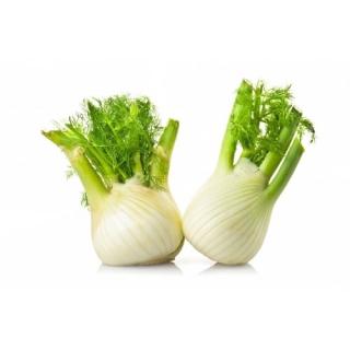 Fenchel