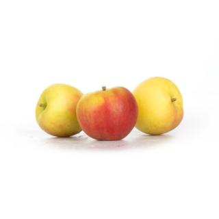 Apfel Sansa -NEUE ERNTE-