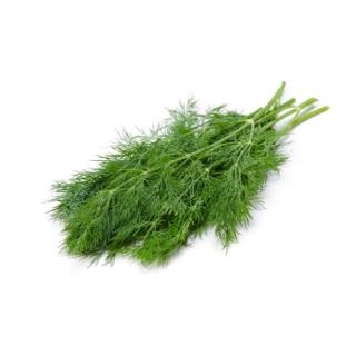 Dill im Bund