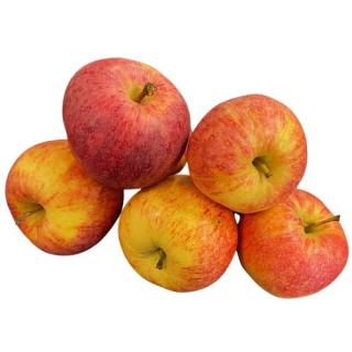 Apfel Gala