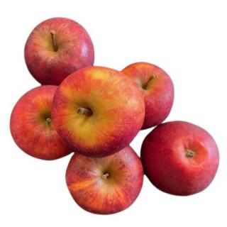 Apfel Elstar -NEUE ERNTE-