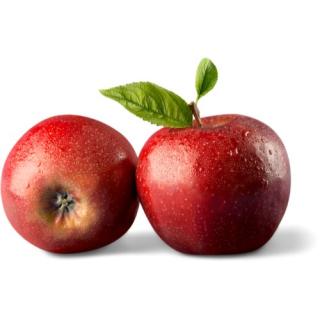 Apfel Cox Orange
