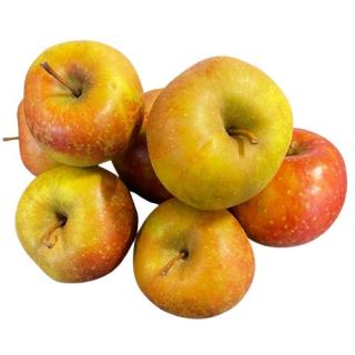 Apfel Boskoop