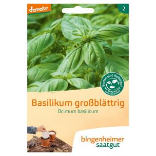 Basilikum - Saatscheibe