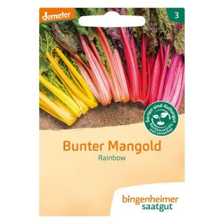 Blatt-Mangold bunt Rainbow