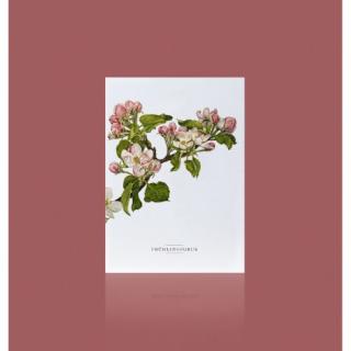 Grußkarte APFELBLÜTE