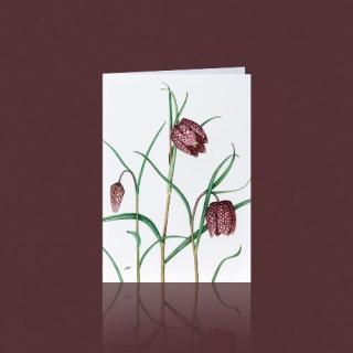Grußkarte SCHACHBRETTBLUME